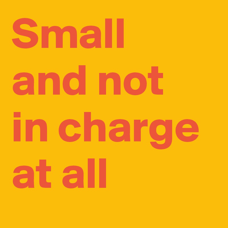Small and not in charge at all