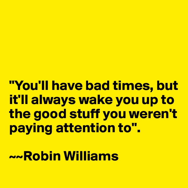 




"You'll have bad times, but it'll always wake you up to the good stuff you weren't paying attention to".

~~Robin Williams