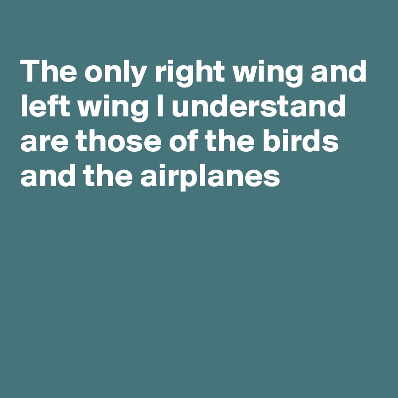 
The only right wing and
left wing I understand
are those of the birds
and the airplanes




