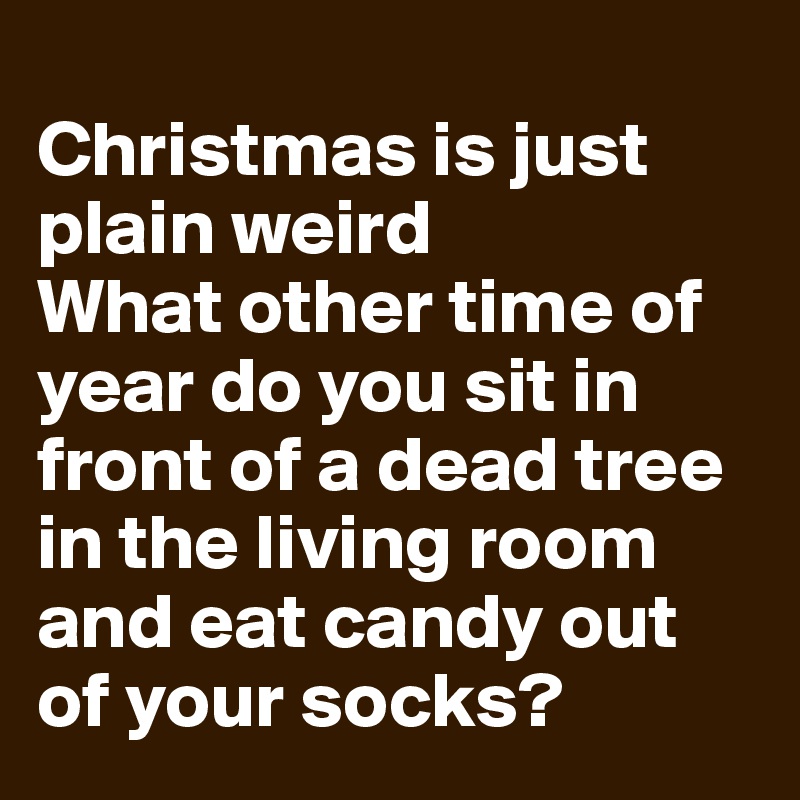 
Christmas is just plain weird
What other time of year do you sit in front of a dead tree in the living room and eat candy out of your socks?