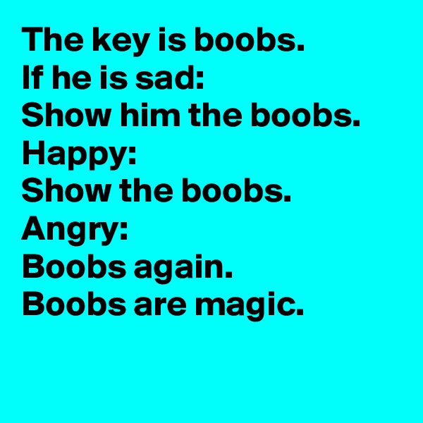 The key is boobs.
If he is sad:
Show him the boobs.
Happy:
Show the boobs.
Angry:
Boobs again.
Boobs are magic.

