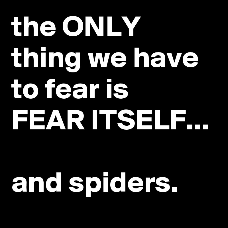 the ONLY thing we have to fear is 
FEAR ITSELF...

and spiders.