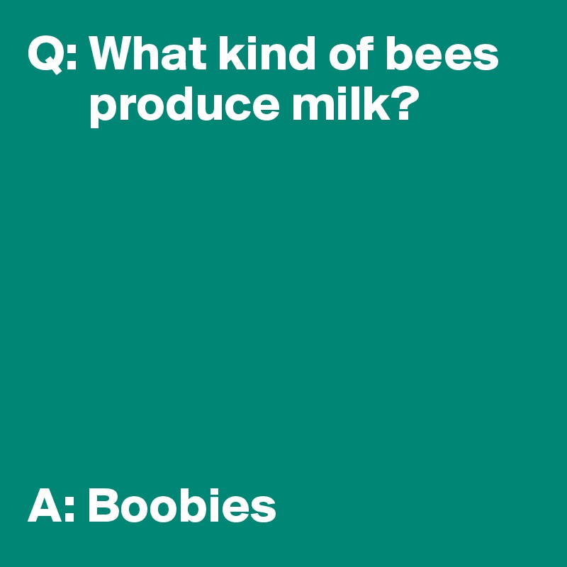 Q: What kind of bees 
      produce milk?







A: Boobies