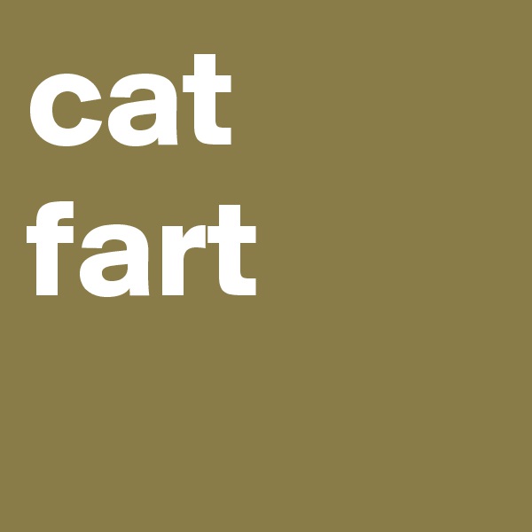 cat fart