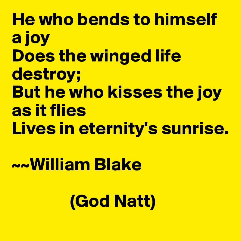 He who bends to himself a joy
Does the winged life destroy;
But he who kisses the joy as it flies
Lives in eternity's sunrise. 

~~William Blake

                (God Natt)
