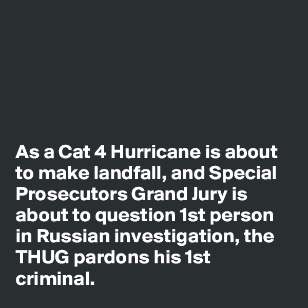 





As a Cat 4 Hurricane is about to make landfall, and Special Prosecutors Grand Jury is about to question 1st person in Russian investigation, the THUG pardons his 1st criminal. 