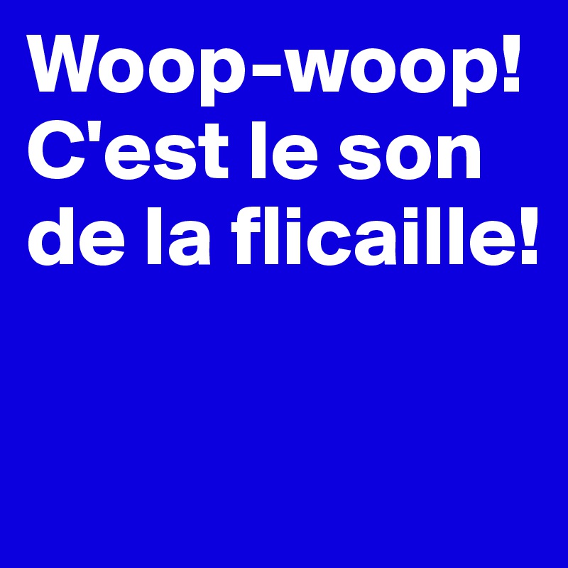 Woop-woop! C'est le son de la flicaille!

