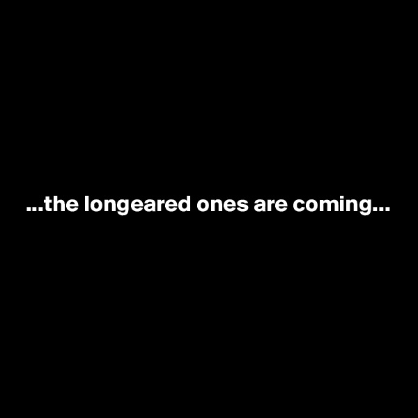 






 ...the longeared ones are coming...






