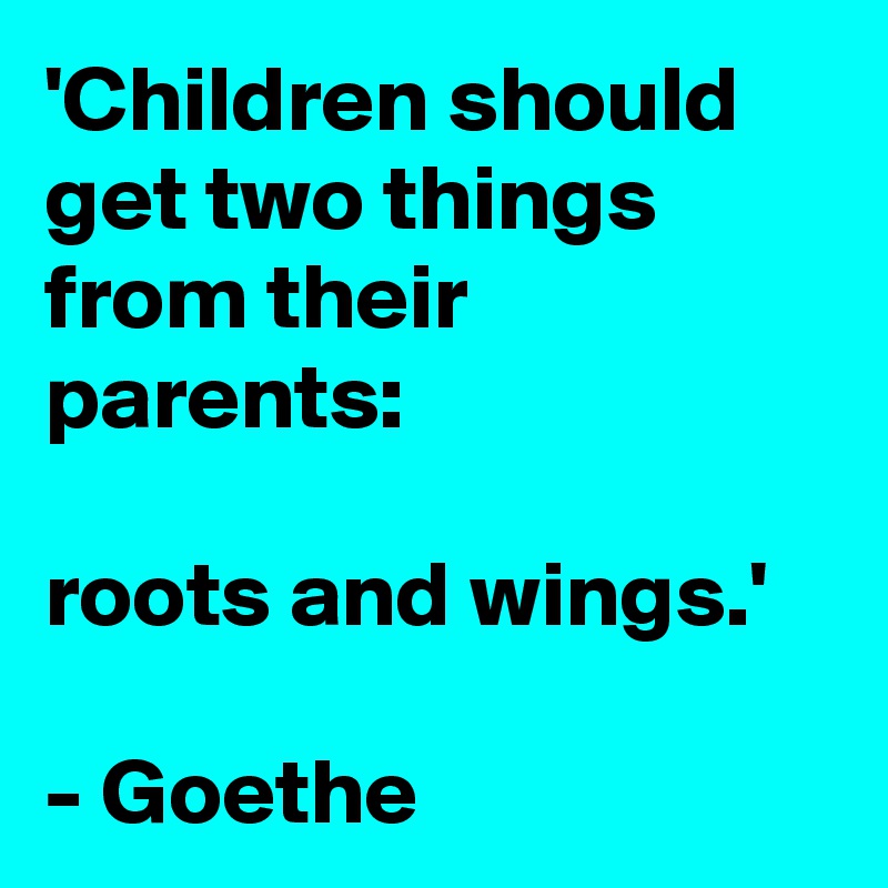 'Children should get two things from their parents: 

roots and wings.'

- Goethe