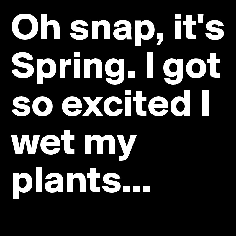 Oh snap, it's Spring. I got so excited I wet my plants...