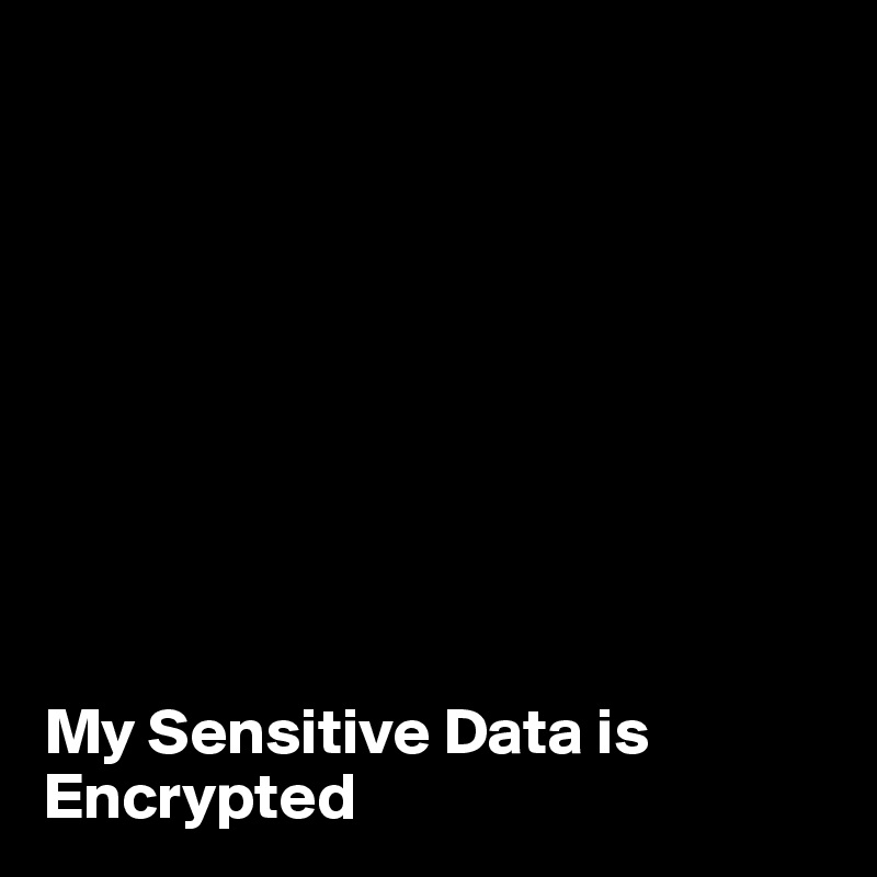









My Sensitive Data is Encrypted