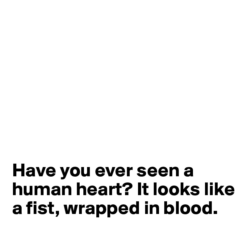 







Have you ever seen a human heart? It looks like a fist, wrapped in blood.