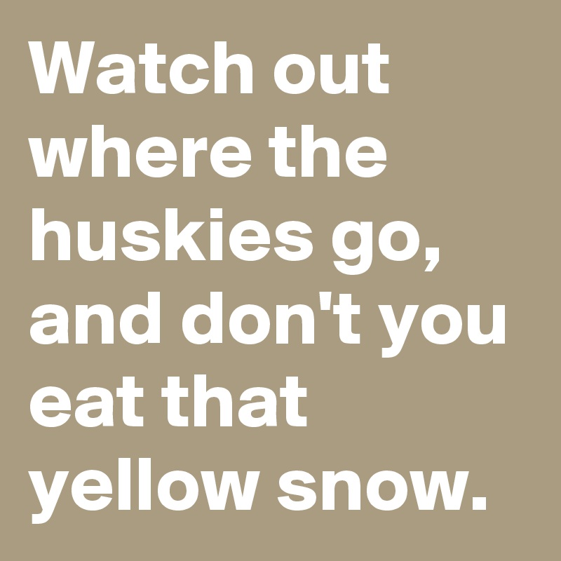 Watch out where the huskies go, and don't you eat that yellow snow