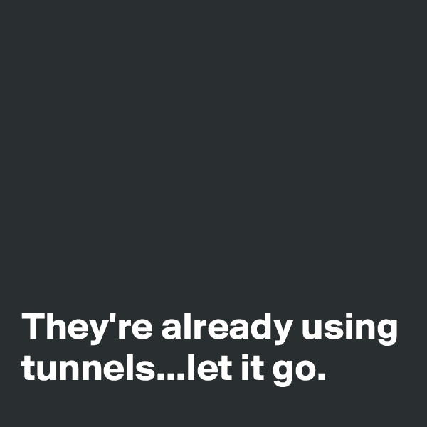 






They're already using tunnels...let it go.