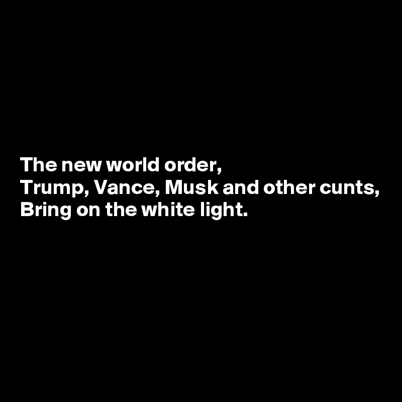 





The new world order,
Trump, Vance, Musk and other cunts,
Bring on the white light.





