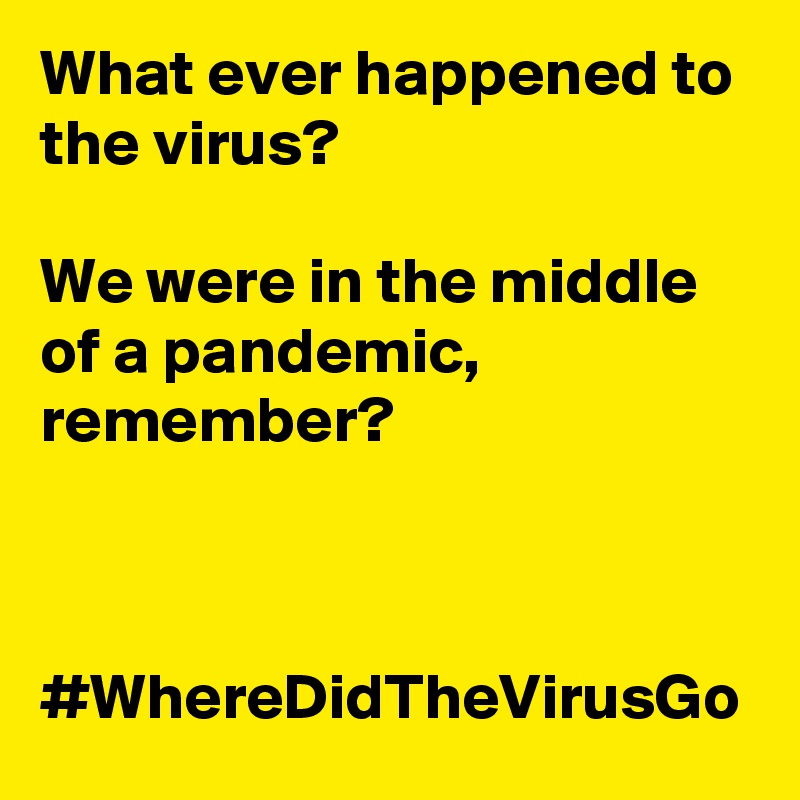 What ever happened to the virus?

We were in the middle of a pandemic, remember?



#WhereDidTheVirusGo