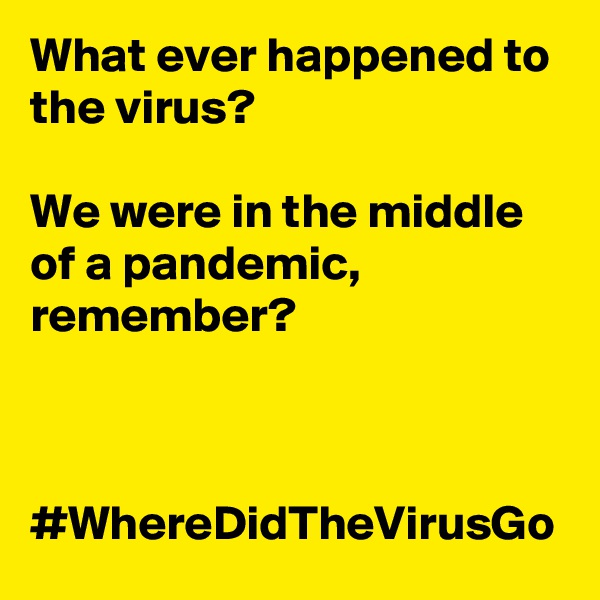 What ever happened to the virus?

We were in the middle of a pandemic, remember?



#WhereDidTheVirusGo