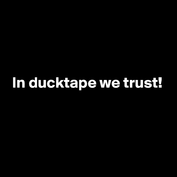 



 In ducktape we trust!



