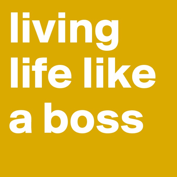 living life like a boss
