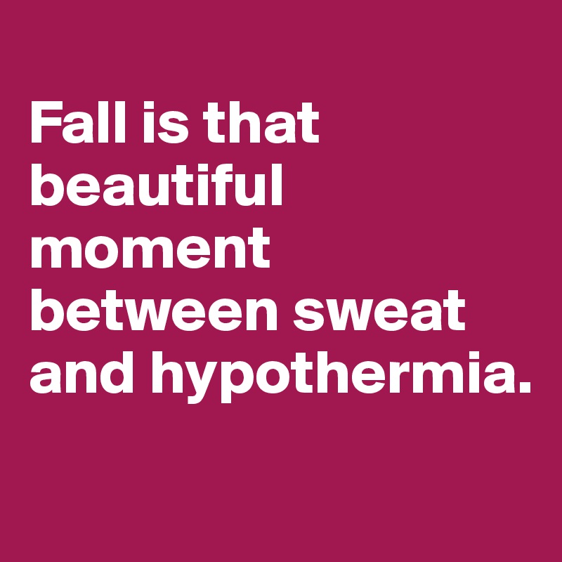 
Fall is that beautiful moment between sweat and hypothermia.
