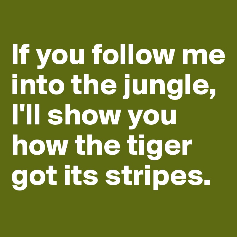 
If you follow me into the jungle, I'll show you how the tiger got its stripes.