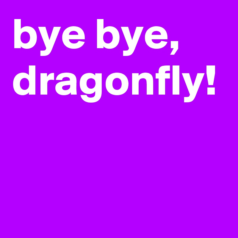 bye bye, dragonfly!