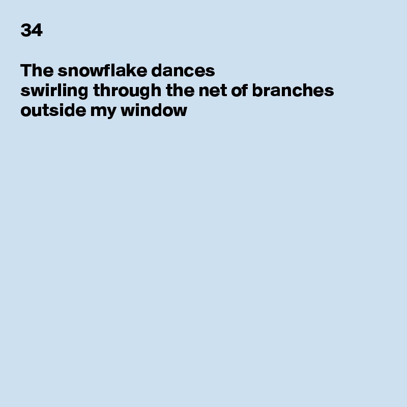 34

The snowflake dances
swirling through the net of branches outside my window












