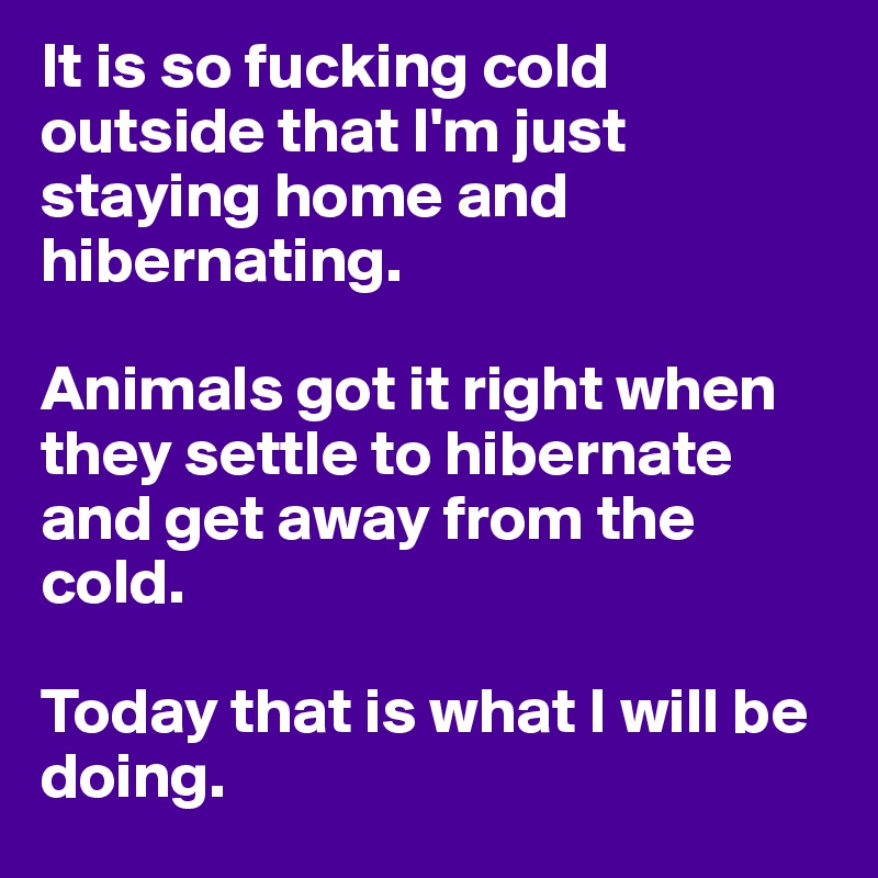It is so fucking cold outside that I'm just staying home and hibernating. 

Animals got it right when they settle to hibernate and get away from the cold. 

Today that is what I will be doing. 