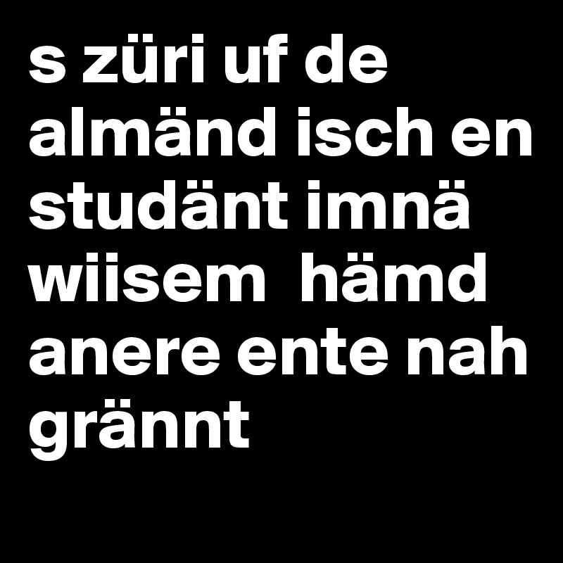 s züri uf de almänd isch en studänt imnä wiisem  hämd anere ente nah grännt