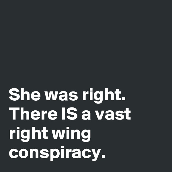 



She was right. There IS a vast right wing conspiracy.