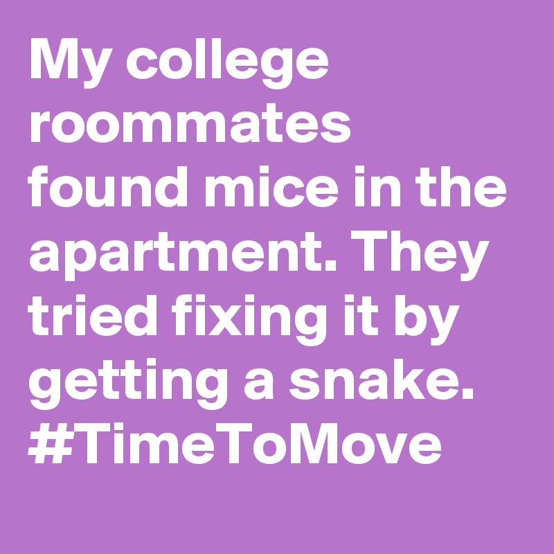 My college roommates found mice in the apartment. They tried fixing it by getting a snake. #TimeToMove