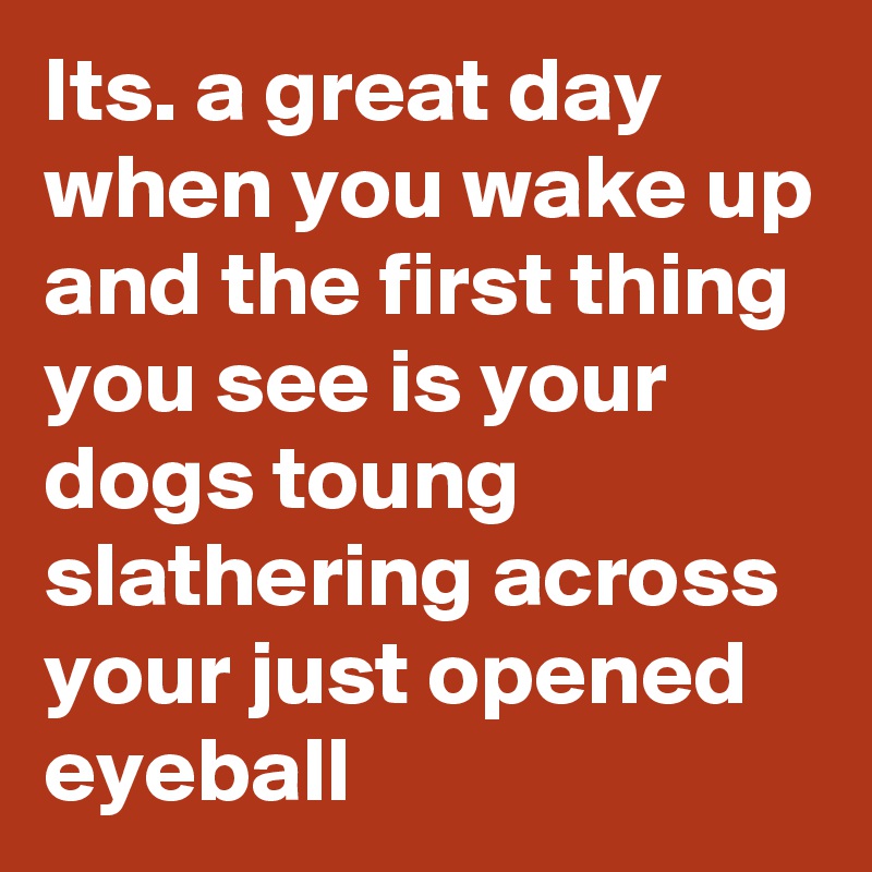 Its. a great day when you wake up and the first thing you see is your dogs toung slathering across your just opened eyeball