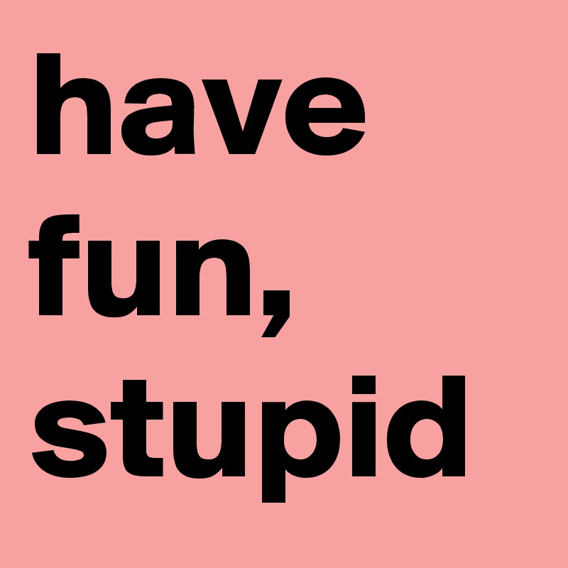 have fun, stupid