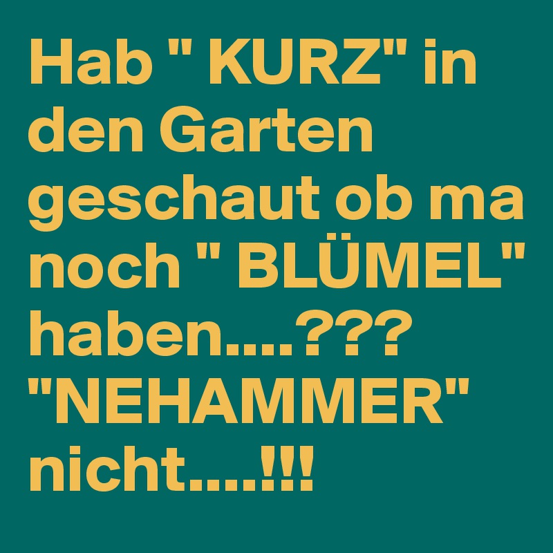 Hab " KURZ" in den Garten geschaut ob ma noch " BLÜMEL" haben....???
"NEHAMMER"
nicht....!!!