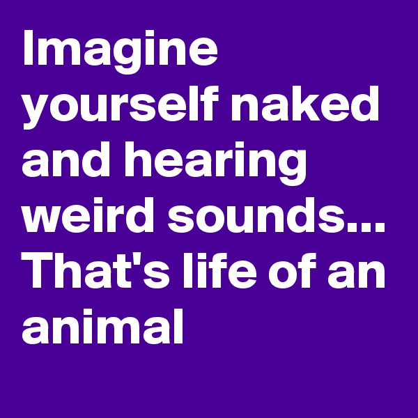 Imagine yourself naked and hearing weird sounds... That's life of an animal 