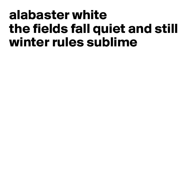 alabaster white 
the fields fall quiet and still
winter rules sublime








