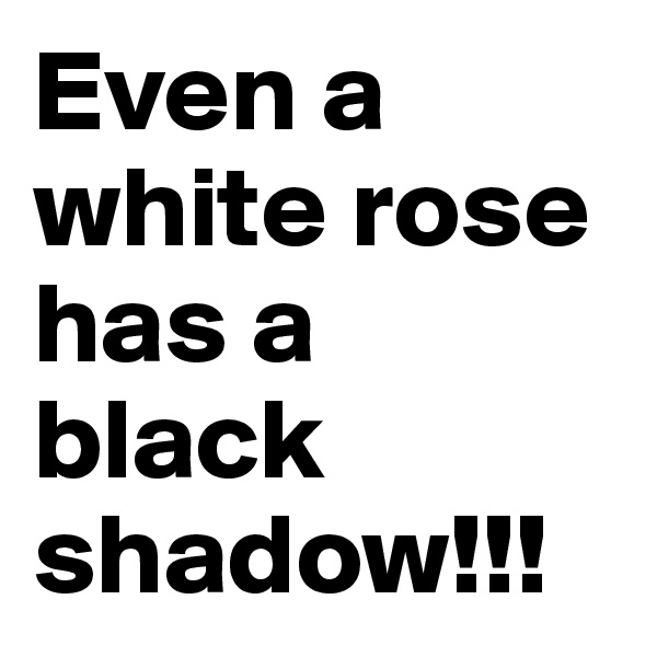 Even a white rose has a black shadow!!!