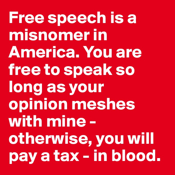 Free speech is a misnomer in America. You are free to speak so long as your opinion meshes with mine - otherwise, you will pay a tax - in blood.