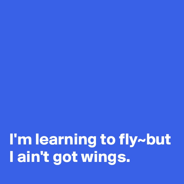






I'm learning to fly~but I ain't got wings.