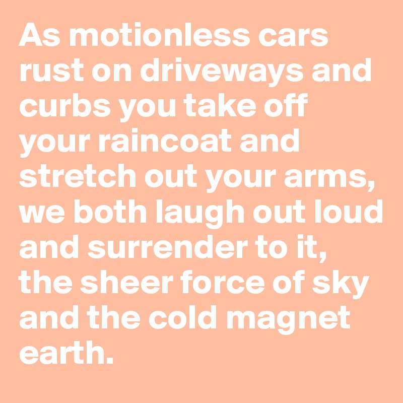 As motionless cars rust on driveways and curbs you take off your raincoat and stretch out your arms, we both laugh out loud and surrender to it,
the sheer force of sky and the cold magnet earth.