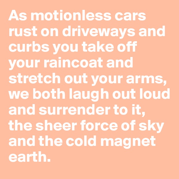 As motionless cars rust on driveways and curbs you take off your raincoat and stretch out your arms, we both laugh out loud and surrender to it,
the sheer force of sky and the cold magnet earth.