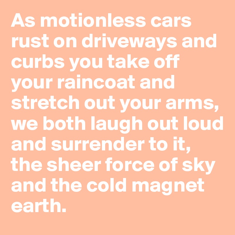 As motionless cars rust on driveways and curbs you take off your raincoat and stretch out your arms, we both laugh out loud and surrender to it,
the sheer force of sky and the cold magnet earth.