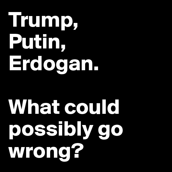 Trump, 
Putin,
Erdogan.

What could possibly go wrong?