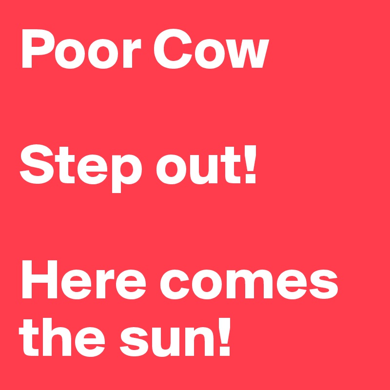 Poor Cow

Step out!

Here comes the sun!