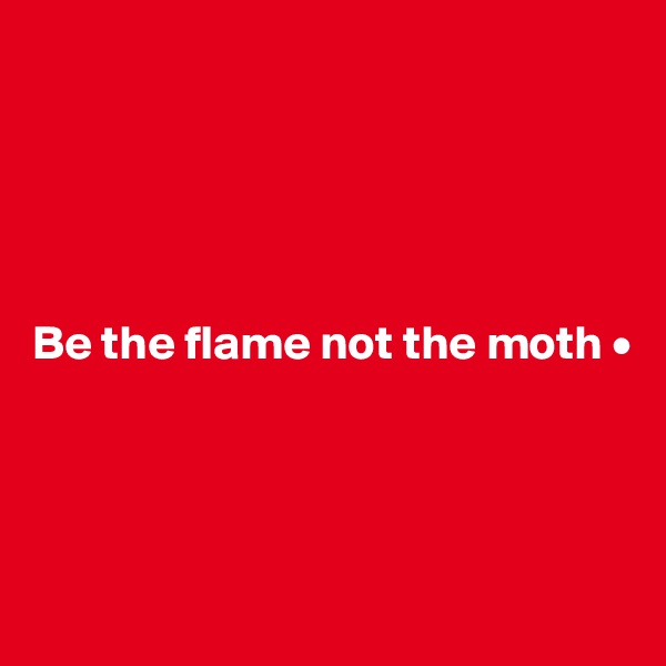 





Be the flame not the moth •




