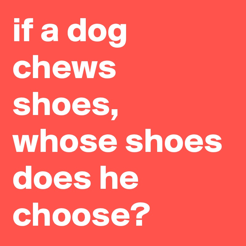 if a dog chews shoes, whose shoes does he choose?