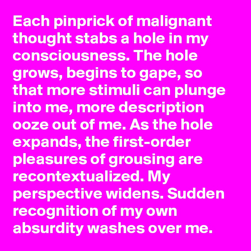 Each pinprick of malignant thought stabs a hole in my consciousness. The hole grows, begins to gape, so that more stimuli can plunge into me, more description ooze out of me. As the hole expands, the first-order pleasures of grousing are recontextualized. My perspective widens. Sudden recognition of my own absurdity washes over me.