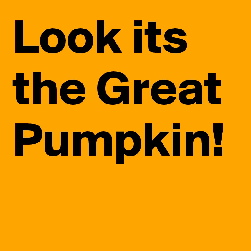 Look its the Great Pumpkin!