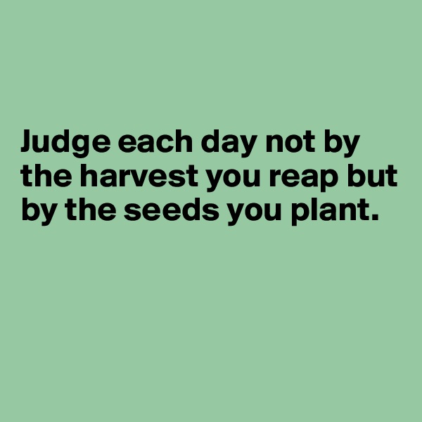 


Judge each day not by the harvest you reap but by the seeds you plant.




