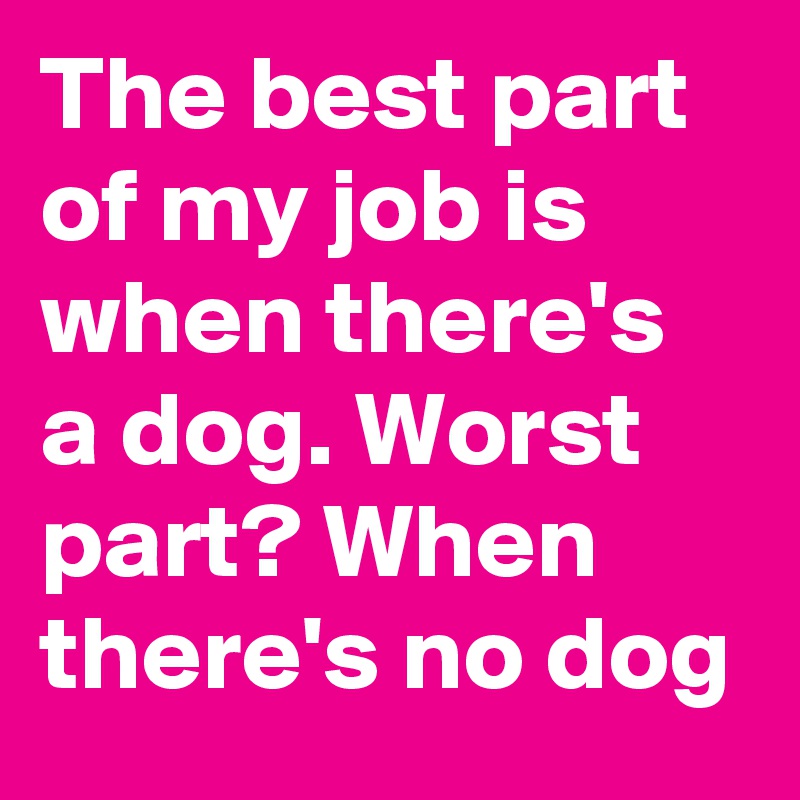 The best part of my job is when there's a dog. Worst part? When there's no dog